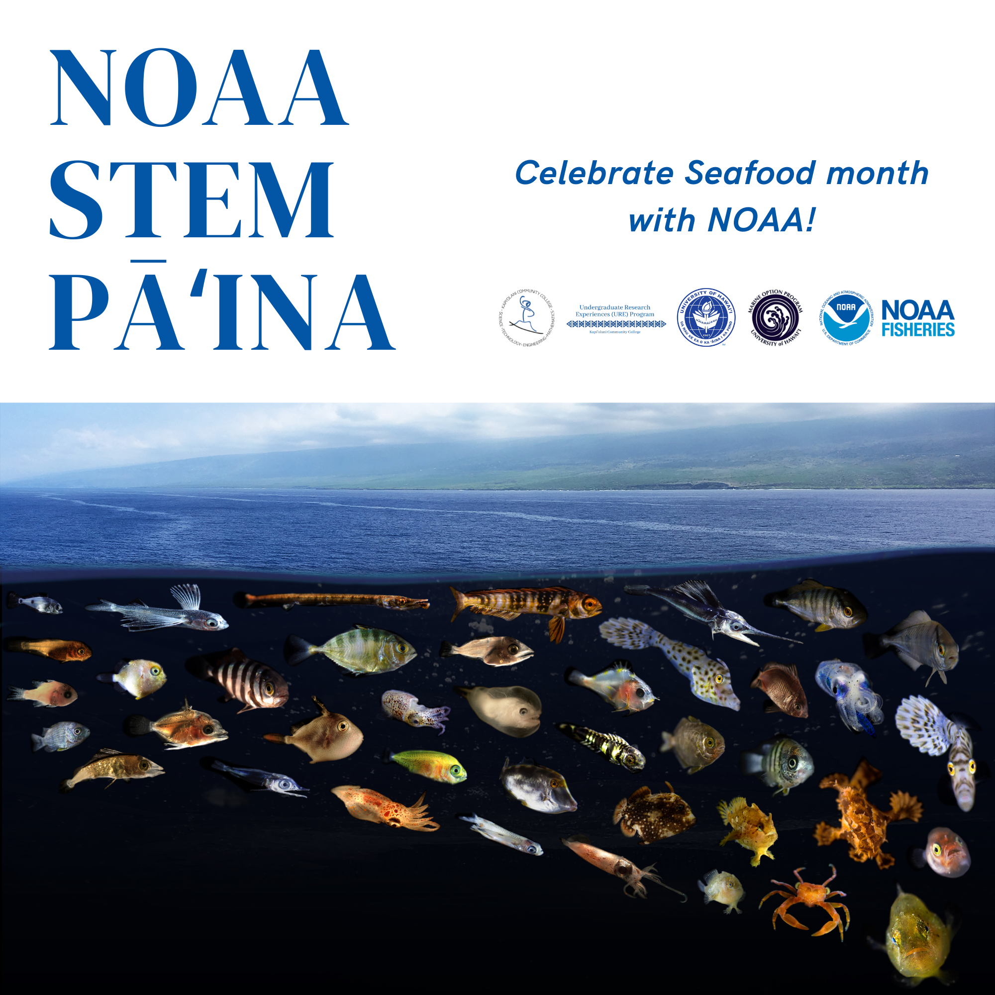 Read more about the article NOAA Pa’ina – October 26th, 2022